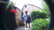 Mail Carrier Pepper Sprays Dog