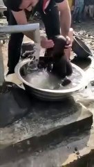 Cet enfant prend un bain chaud pour la première fois