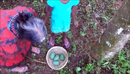 Village de la Nourriture  Cuisson à la Mangue Cornichon dans mon Village par ma Maman