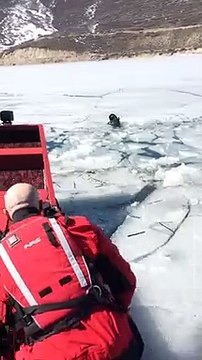 Increíble rescate de este perro en aguas heladas