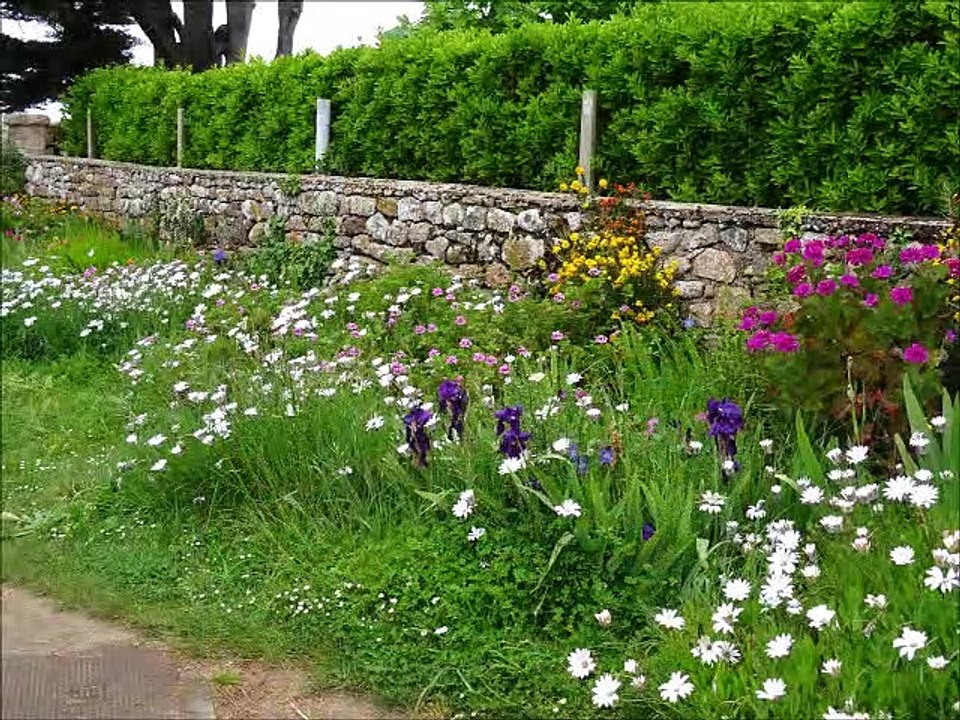 Ile de Bréhat 2016-2019
