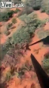 Ce vétérinaire chute d'un hélicoptère au-dessus des animaux en pleine savane en Afrique