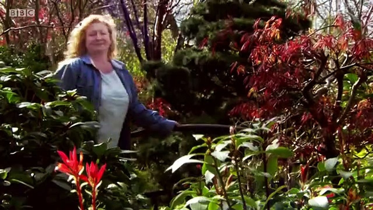 Garden Rescue - S04E19 - Newport Cwmcarn - May 31, 2019 || Garden Rescue (05/31/2019)