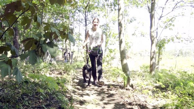 Bilbao inicia una campaña de adopción de perros