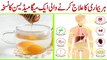 Shahad Aur Pani Ke Fayde || Benefits Of Honey Water || شہداورگرم پانی کےفائدے