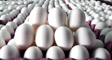 Irak'ın ithalatı durdurması yumurta fiyatını düşürdü