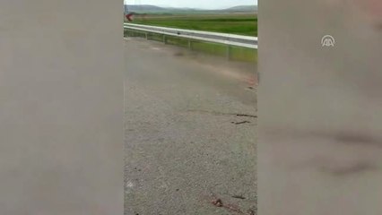 Polisten kaçan uyuşturucu satıcıları koyun sürüsünü telef etti