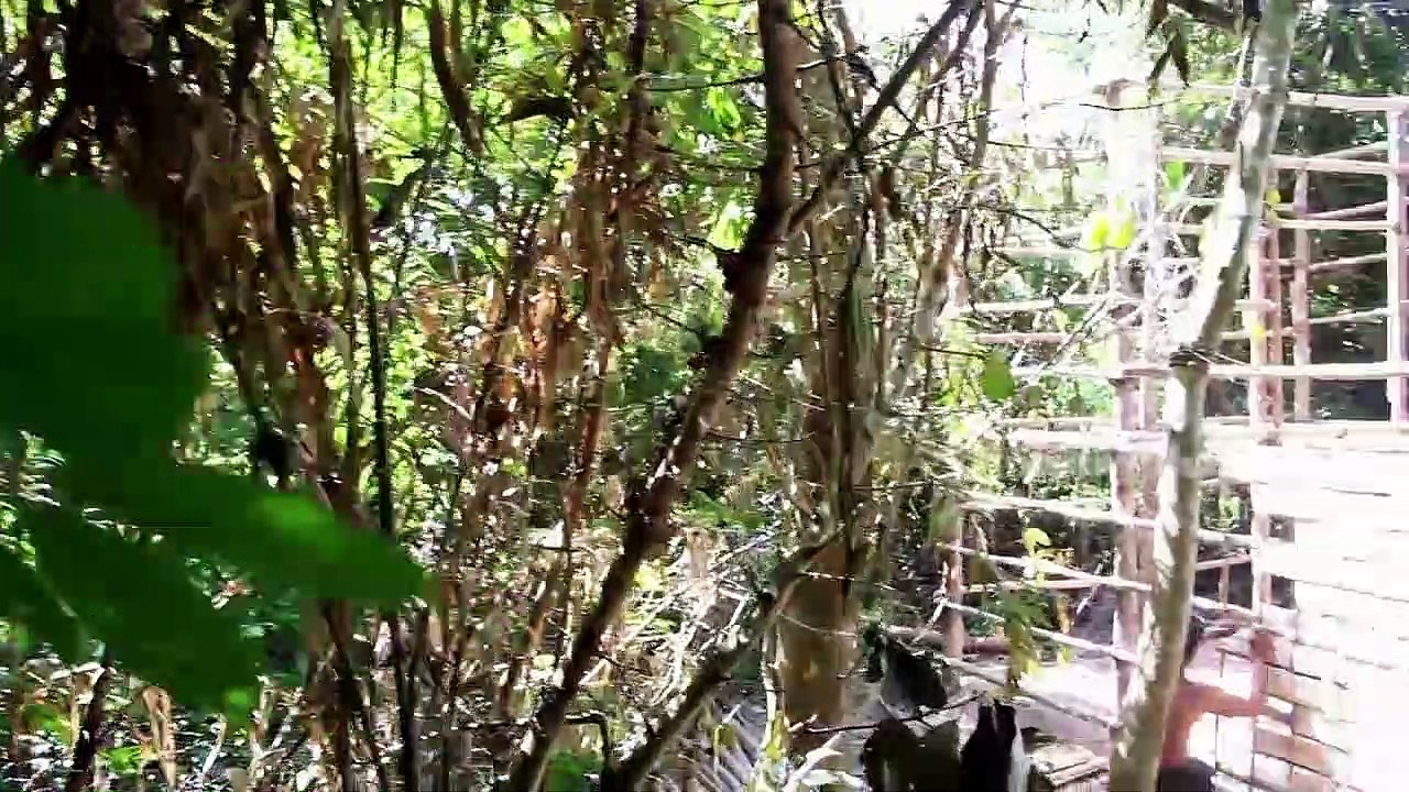 Build Beautiful Swimming pool & House Villa Using wooden in Will