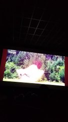 Soirée Nanarland - sélection de nanars 24 05 19 195739