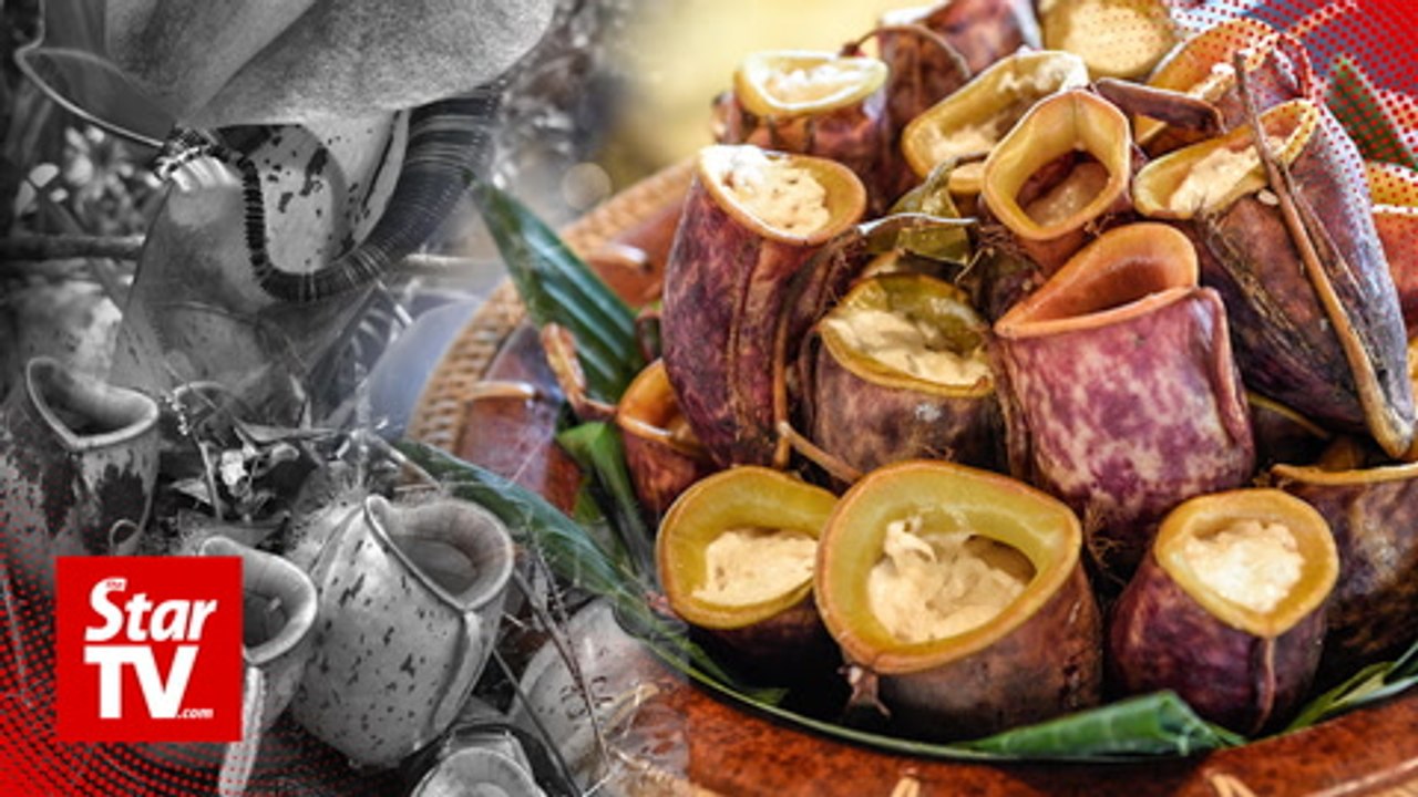 Nature lovers, conservationists concerned over pitcher plant lemang