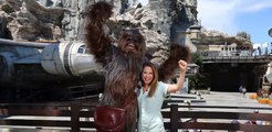 Flying the Millennium Falcon at Disneylands Star Wars Galaxys Edge