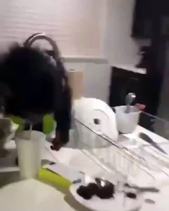 La réaction magique d'un singe quand il revoit les vétérinaires qui l'ont sauvé d'une pneumonie !