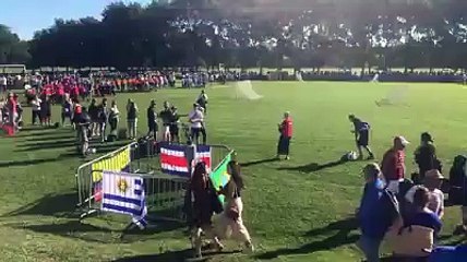 Tournoi USJ CUP 2019