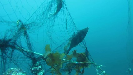 2030년까지 바다 플라스틱 쓰레기 절반으로 줄인다 / YTN