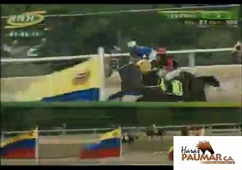 CLASICO HIPODROMO DE LA RINCONADA 2019 19C300