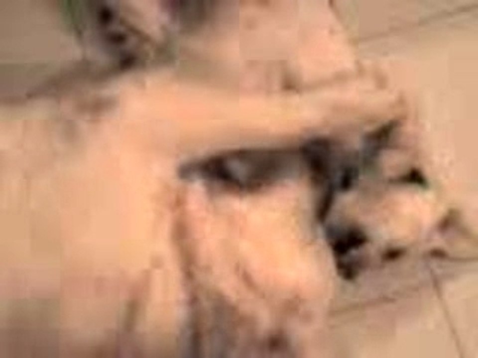 Vidéo 0030