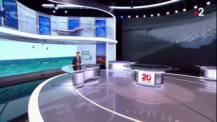 Le kitesurf, un sport dans le vent