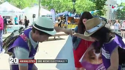 Parti animaliste : lumière sur l'une des surprises des Européennes 2019