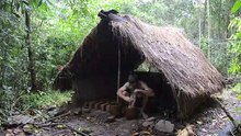 Primitive Technology- Polynesian Arrowroot Flour