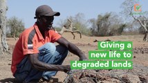 Burkina Faso: Giving a new life to degraded lands