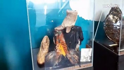 Ap Bio Project Part Two