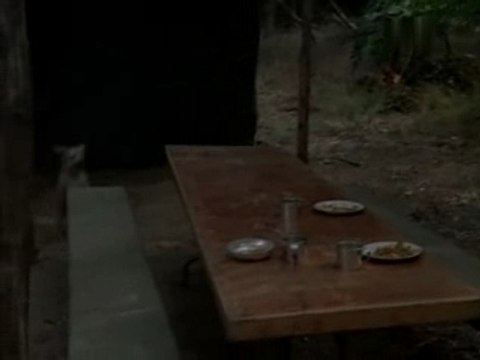 Les Tetes Brulees - La Petite Guerre