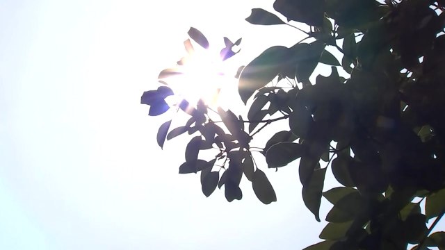 [날씨] 전국 여름 더위, 서울 29℃...영남 폭염주의보 / YTN