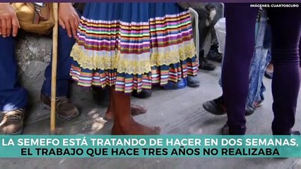 Estados |  400 cadáveres sin identificar en la morgue de Guadalajara