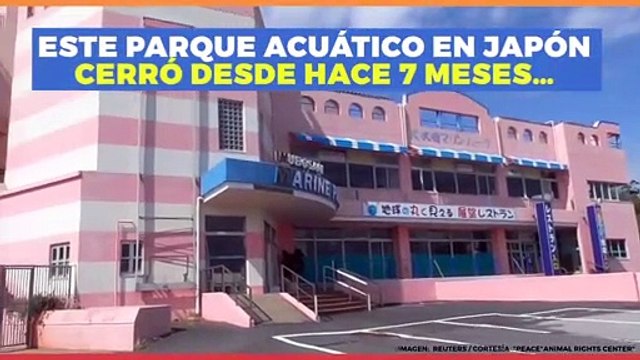 Entretenimiento | En este parque acuático dejaron abandonados a los animales