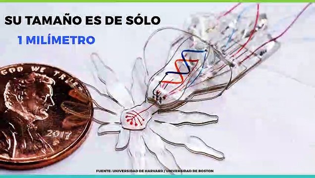 Tecnología y Ciencia | Robot araña milimétrico, el futuro en la cirugía humana