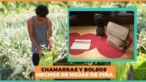 Internacional | Chamarras hechas de piña y botellas recicladas