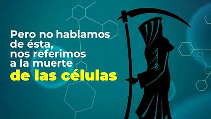 Tecnología y Ciencia | ¿A qué velocidad se mueve la muerte?