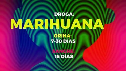 Tecnología y ciencia | ¿Sabes cuánto duran las drogas en tu cuerpo?