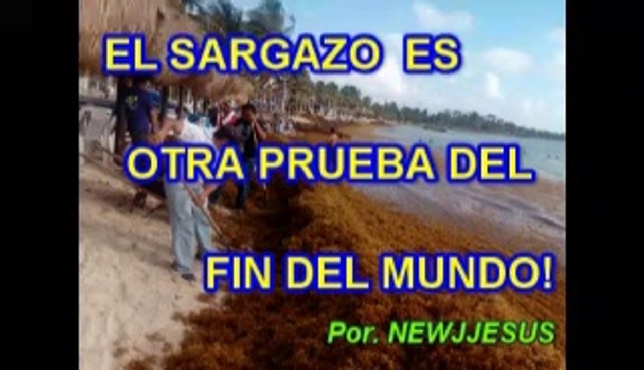 SARGAZO ES PRUEBA DEL  FIN DEL MUNDO