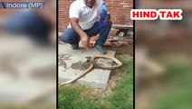 A Wildlife Activist Rescued and saved a life of a snake in MP’s Indore. #Wildlife  #Rescued #Animal