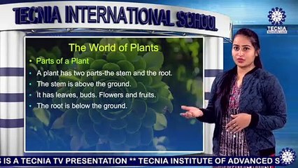 Ms. Himanshi Sondhi || The World of Plants || TIS || TIAS || TECNIA TV