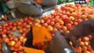 दुर्ग में 'लाल' हुआ टमाटर, खरीदारों के छूट रहे पसीने-Tomato are expensive in durg, vegetable prices are upset people