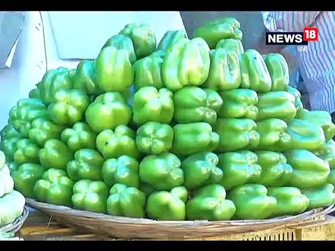 ओलावृष्टि से सब्जी और आम की फसल तबाह, किसानों को सरकार से मदद की उम्मीद-Vegetable and mangoes harvest damage from hail, farmers need to help government