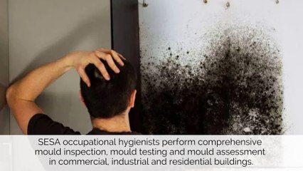 Occupational Hygienists Providing Expert Advice