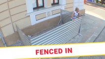 Fenced In