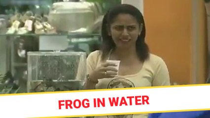 Frog in drinking water
