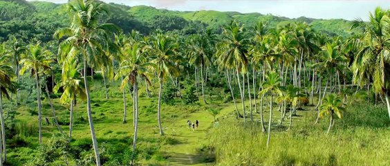 47 Meters Down : Uncaged - Bande-annonce VO