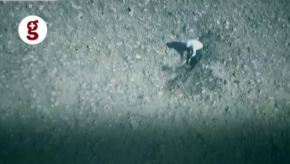 Drone'u taşlayan defineci yakalandı