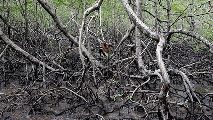 Neue App als Unterstützung bei Naturkatastrophen