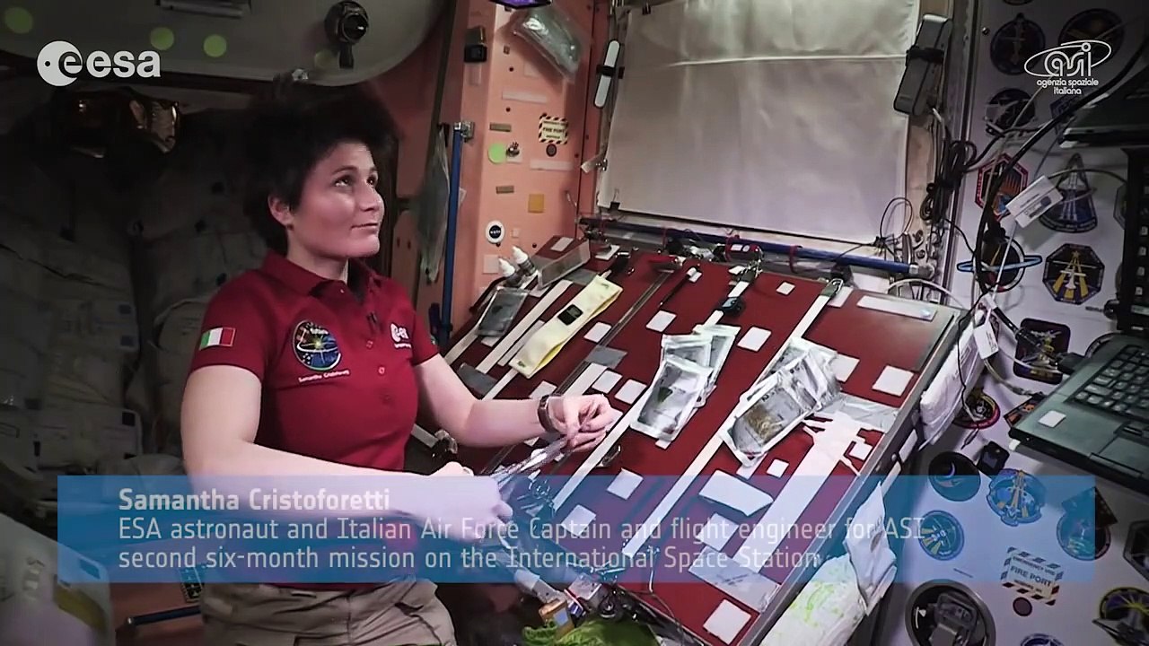 Fajitas dans l'espace, cette astronaute cuisine dans la station spatiale internationale en apesanteur