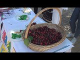 RTV Ora - Festa e qershisë çel sezonin turistik në Dibër