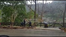 Report TV - Era dhe rrebeshi rrëzojnë pemën në mes të rrugës në Berat