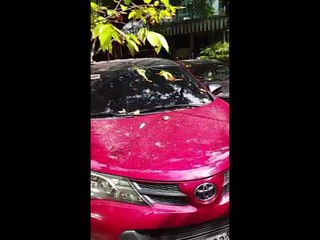 LPG tank explosion in Sampaloc, Manila