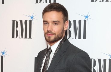Liam Payne: 'One Direction's success was dumb luck'