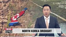 Facing drought, N. Korea's agriculture institute urges people to secure water, finish rice planting quickly